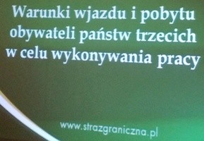 Zdjęcie artykułu Zatrudnianie cudzoziemców